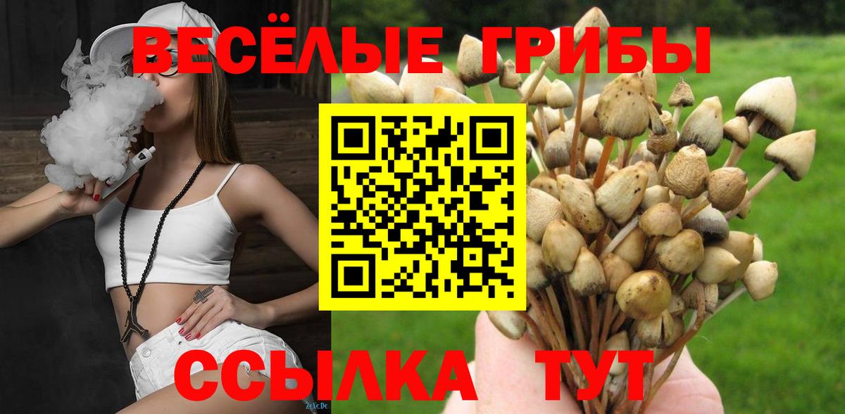 Галлюциногенные грибы Cubensis Вязники