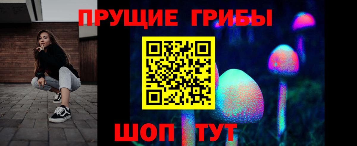 Вязники  даркнет сайт  Вход с VPN  Галлюциногенные грибы Cubensis 