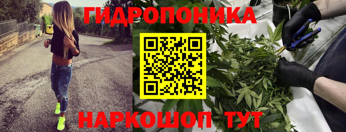 Конопля план Вязники